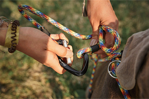 durable paracord dog leash