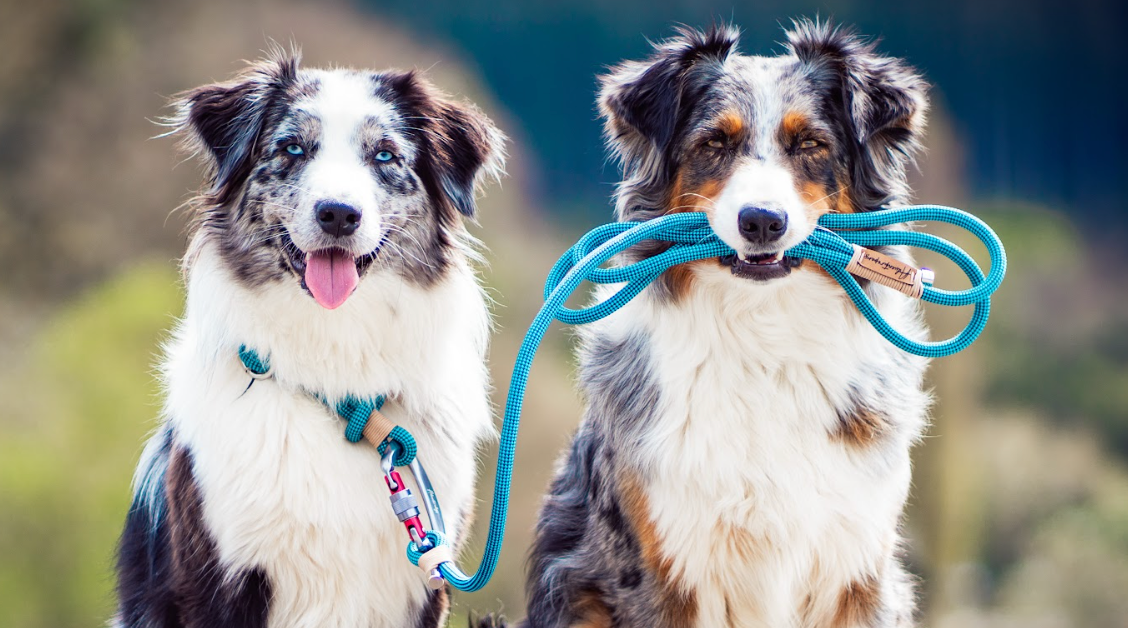 how to make a climbing rope dog leash