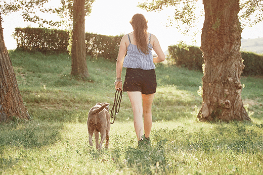 what length leash for dog