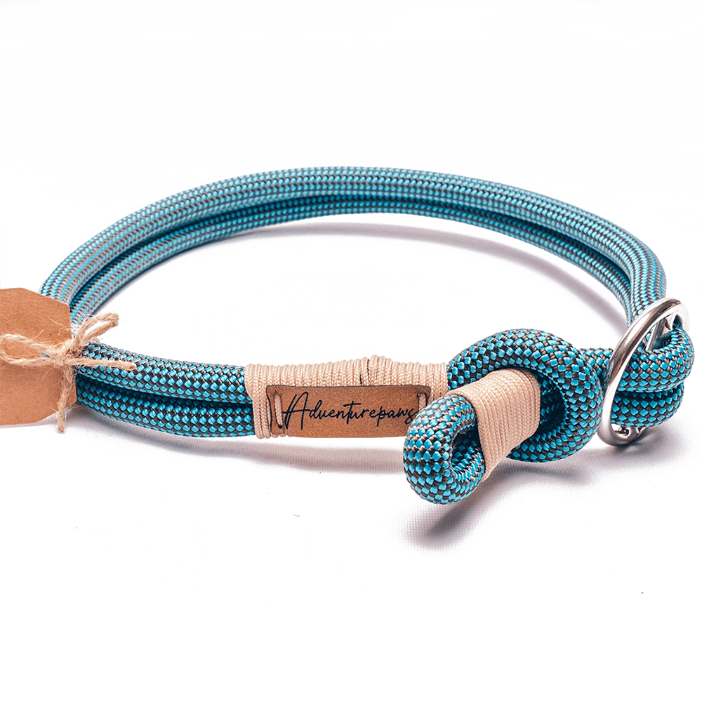 blue climbing rope dog collar