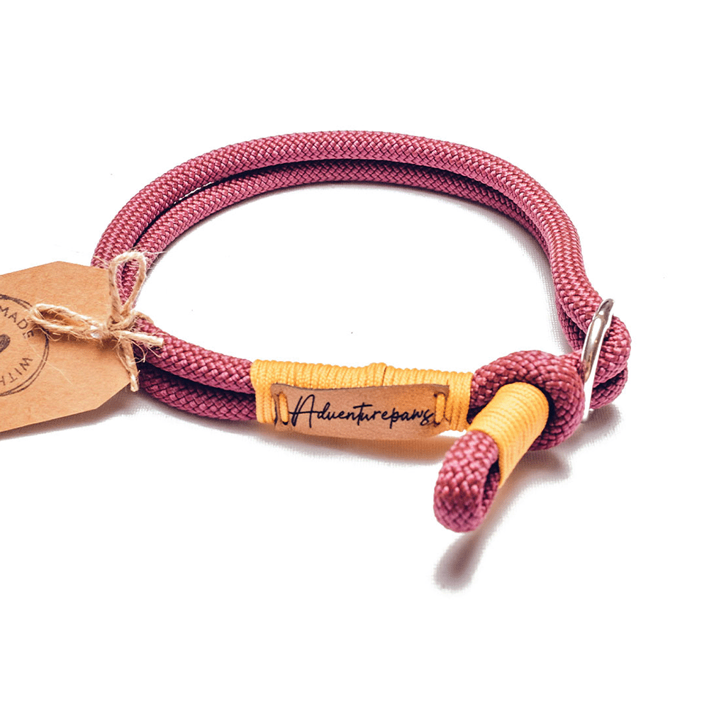 maroon climbing rope dog collar