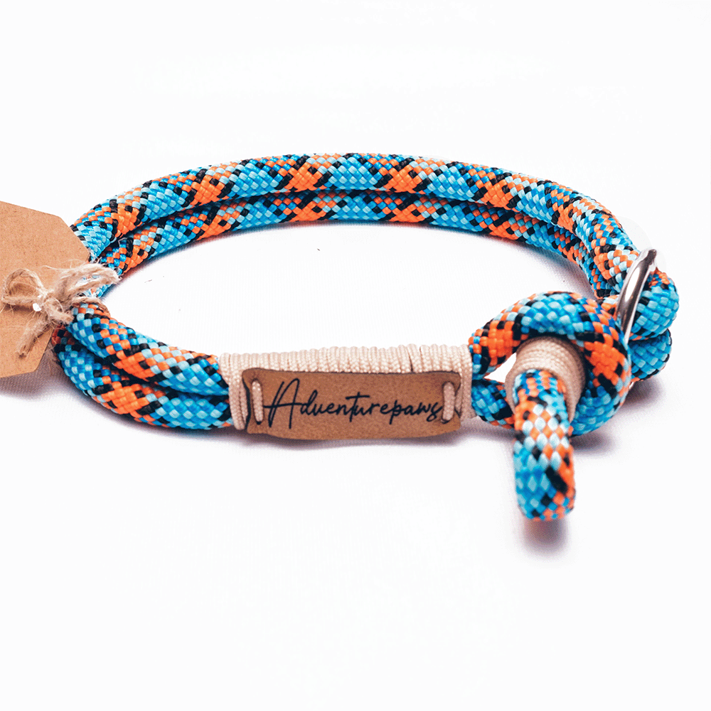 colorful climbing rope dog collar