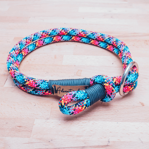 rainbow climbing rope dog collar