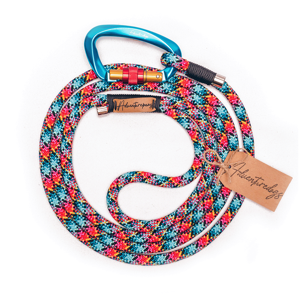 Rainbow climbing rope dog leash